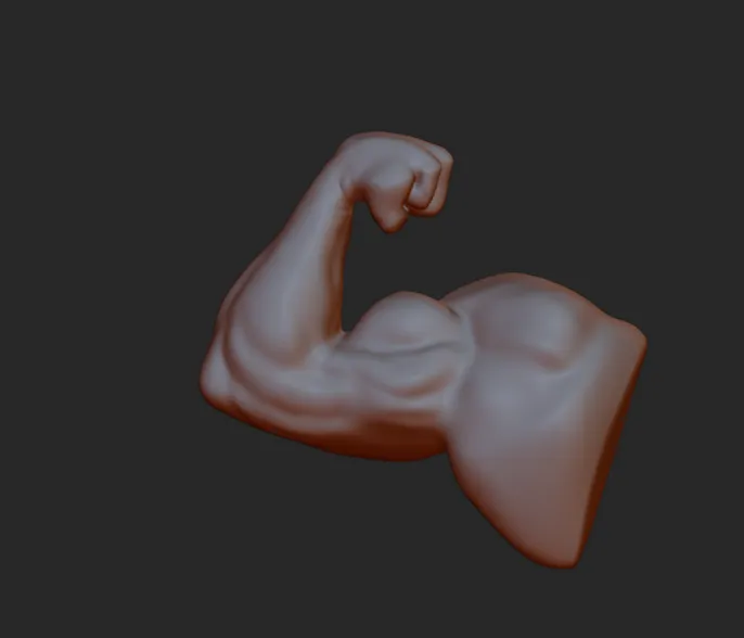 anatomy practice