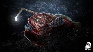 angler-fish-gfx
