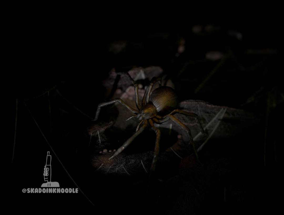 goliath-spider
