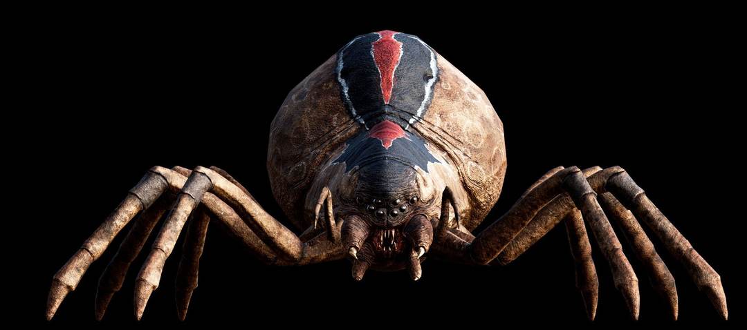 mirkwood-spider